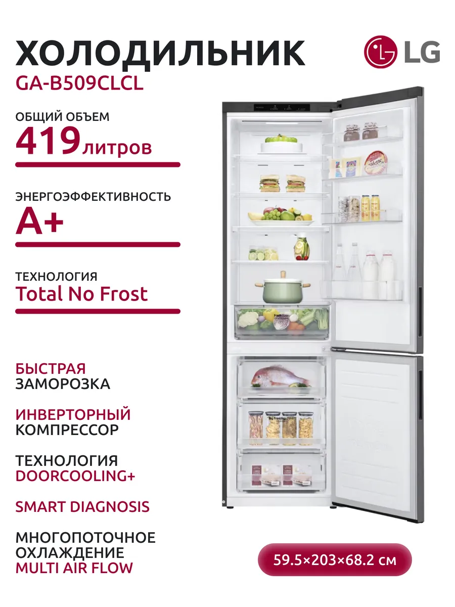 LG Холодильник GA-B509CLCL (графитовый)