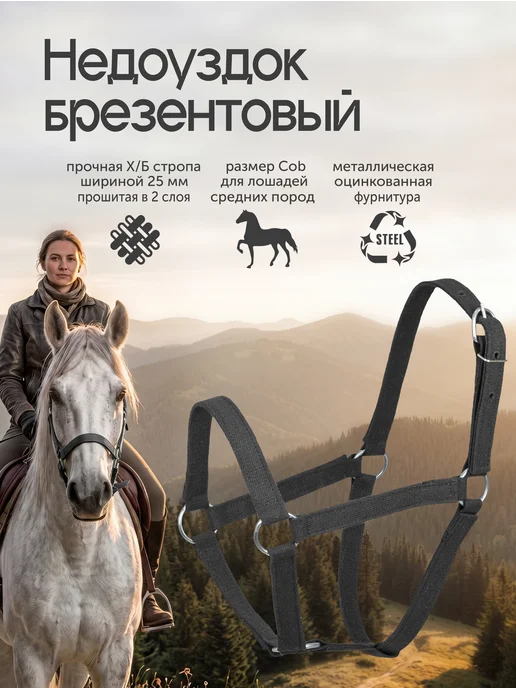 REITER Недоуздок для лошадей, двойной брезент, 25мм, размер Cob, черный