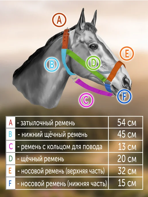 REITER Недоуздок для лошадей, двойной брезент, 25мм, размер Cob, черный, фото 2