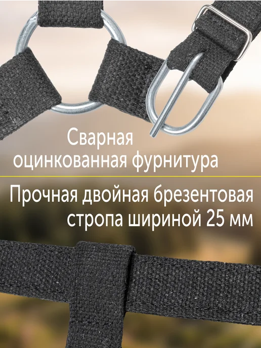 REITER Недоуздок для лошадей, двойной брезент, 25мм, размер Cob, черный, фото 3