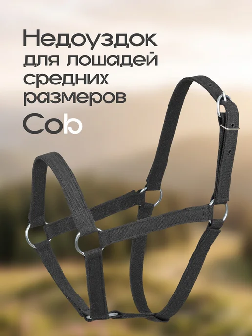 REITER Недоуздок для лошадей, двойной брезент, 25мм, размер Cob, черный, фото 4