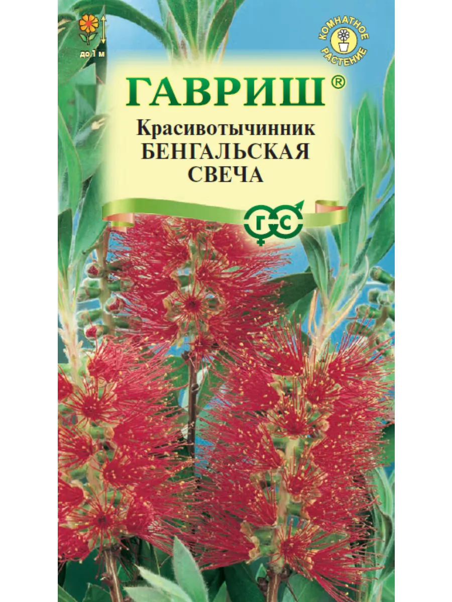 *Красивотычинник Каллистемон Бенгальская свеча