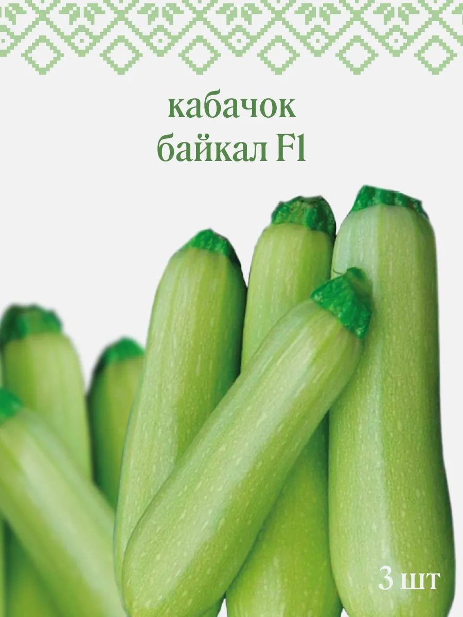 Семена кабачков Байкал F1
