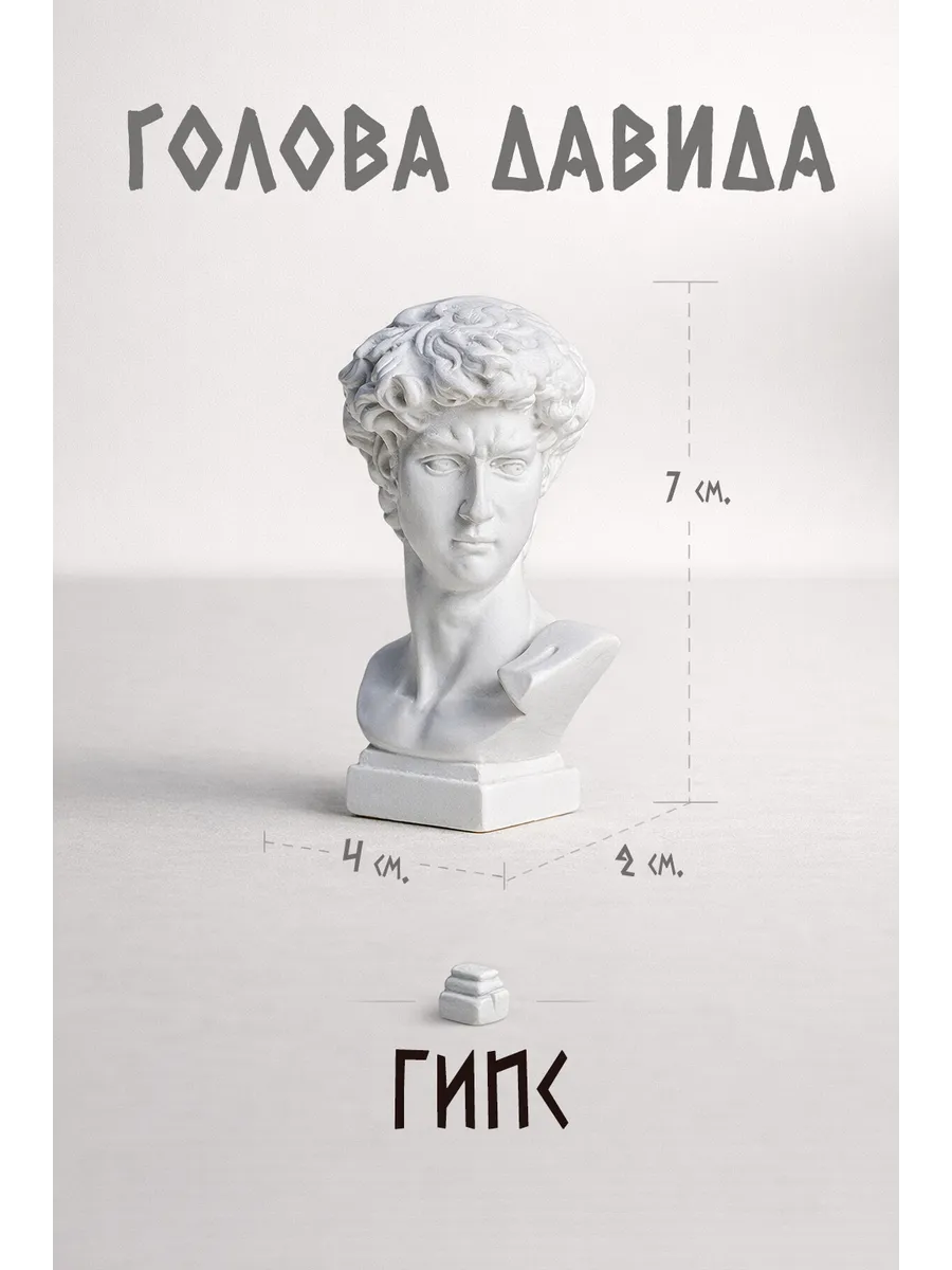 Бюст Давида, гипс шлифованный с лаком