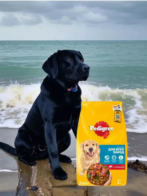 Сухой корм PEDIGREE Педигри для собак, говядина, 2 кг, фото 3