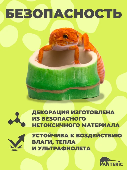 Поилка для рептилий Зеленый бамбук L кормушка в террариум, зеленый, фото 3