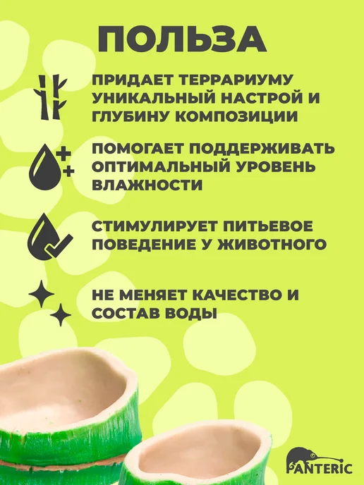 Поилка для рептилий Зеленый бамбук L кормушка в террариум, зеленый, фото 4