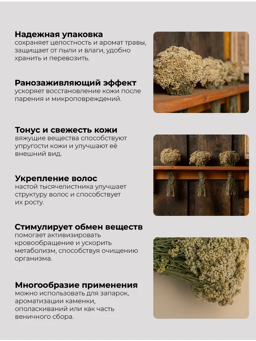 woodson Веник для бани из тысячелистника, трава-запарник сухоцвет, вариант, фото 2