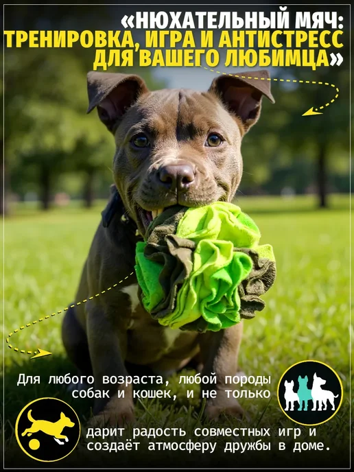 ЗООГЕНИЙ Нюхательный мяч для собак и кошек игрушка головоломка, зеленый