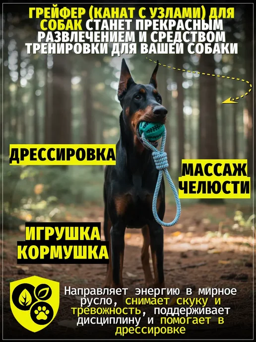 ЗООГЕНИЙ Игрушка для собак мяч на канате с отсеком для лакомств 38 см, голубой