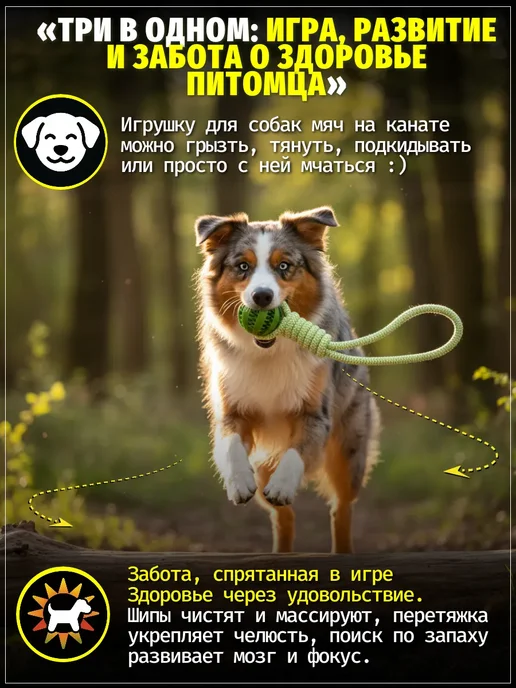 ЗООГЕНИЙ Игрушка для собак мяч на канате с отсеком для лакомств 38 см, голубой, фото 4