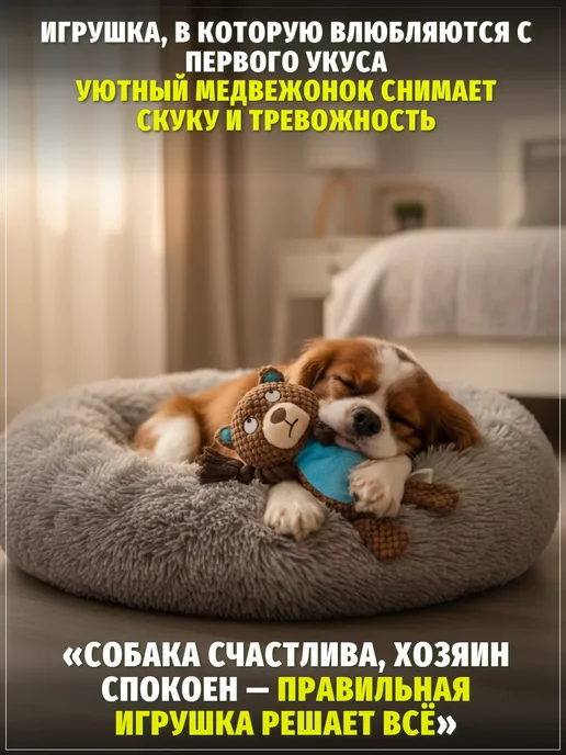 ЗООГЕНИЙ Мягкая игрушка Медведь для собак с пищалкой и канатами, вариант, фото 5