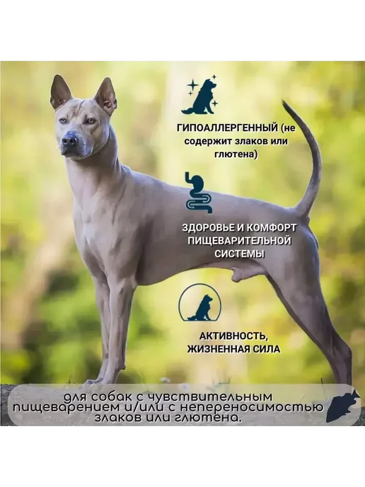 Сухой корм Flatazor Elite для собак, гипоаллергенный, лосось, 20 кг, фото 4