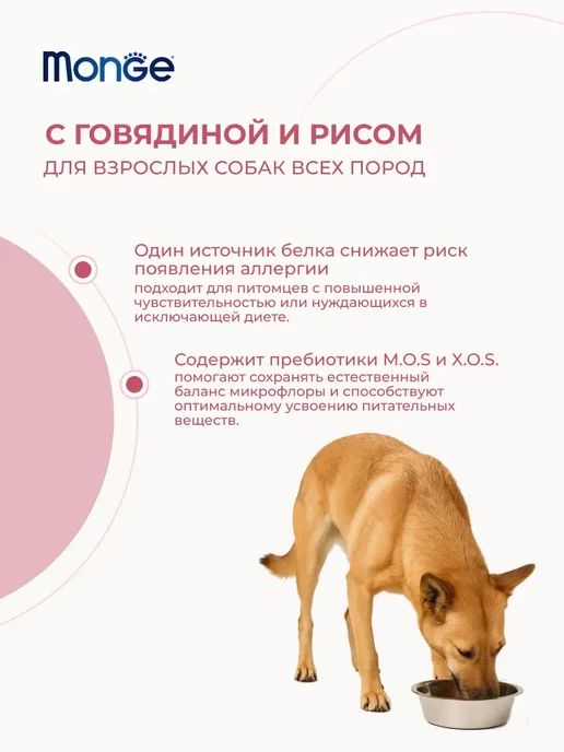 Сухой корм MONGE для собак, говядина, 5 кг, фото 2