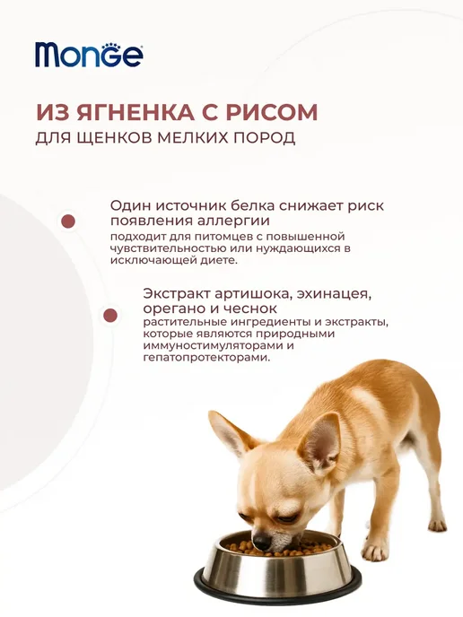 Сухой корм MONGE для собак, мелкие, щенки, ягненок, 5 кг, фото 2