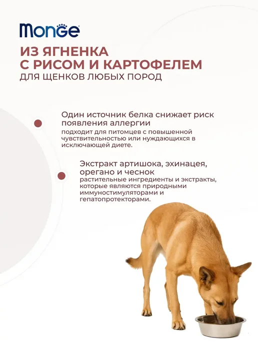 Сухой корм MONGE для собак, щенки, ягненок, 5 кг, фото 3