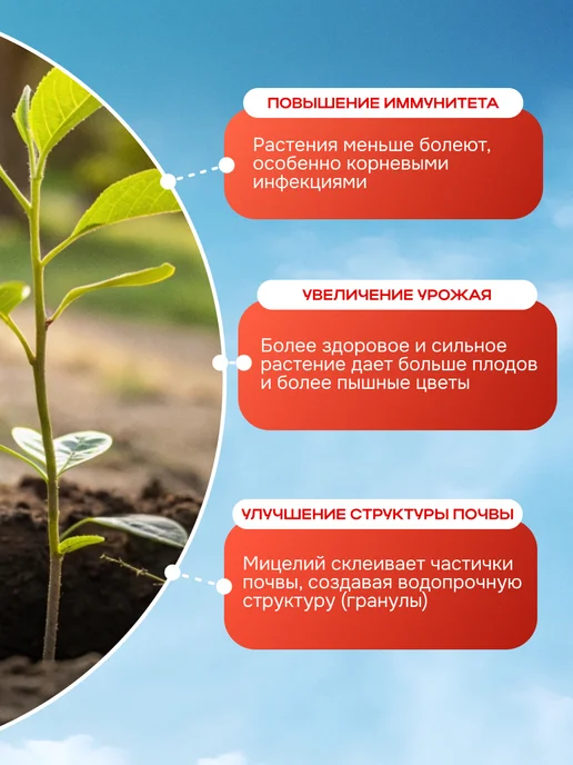 БашИнком Удобрение Микориза для корней универсальная 2 шт по 30 г, 2 шт, 30 г, фото 3