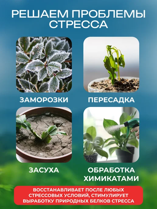 Нэст М Эпин Экстра для растений 3 шт по 1 мл, 3 шт, 1 мл, фото 2