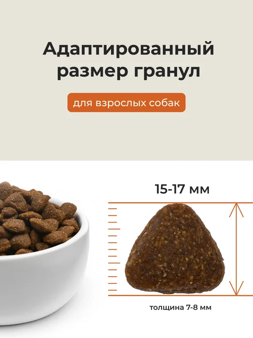 Сухой корм ALMO NATURE для собак, крупные, ягненок, 2 кг, фото 5