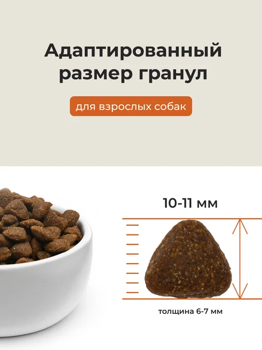 Сухой корм ALMO NATURE для собак, говядина, 0,4 кг, фото 3