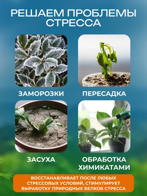 Нэст М Эпин Экстра для растений 3 шт по 1 мл, 1 мл, 5 шт, фото 2