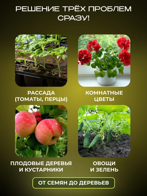 Нэст М Циркон для растений 1 мл, 5 шт, 1 мл, фото 3