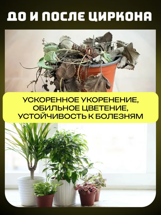 Нэст М Циркон для растений 1 мл, 5 шт, 1 мл, фото 6