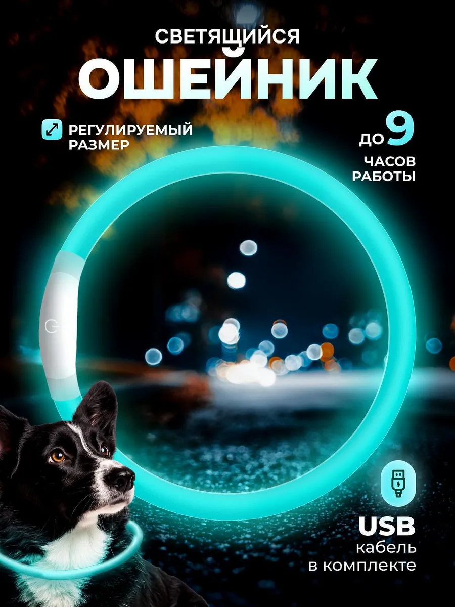 Ошейник светящийся