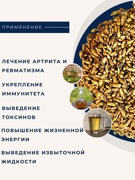 Почки березы сушеные 100 гр, 100 г, фото 2