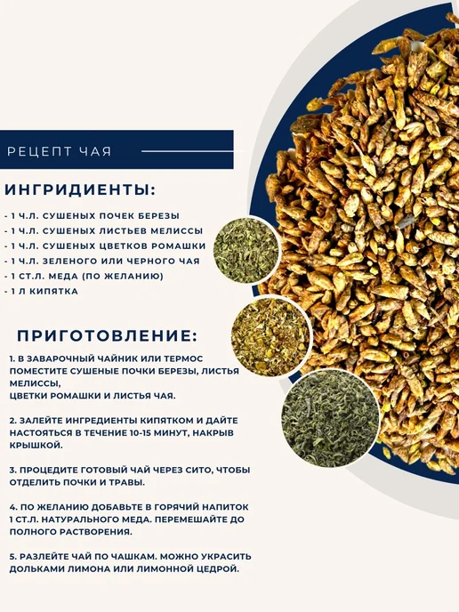 Почки березы сушеные 100 гр, 100 г, фото 3