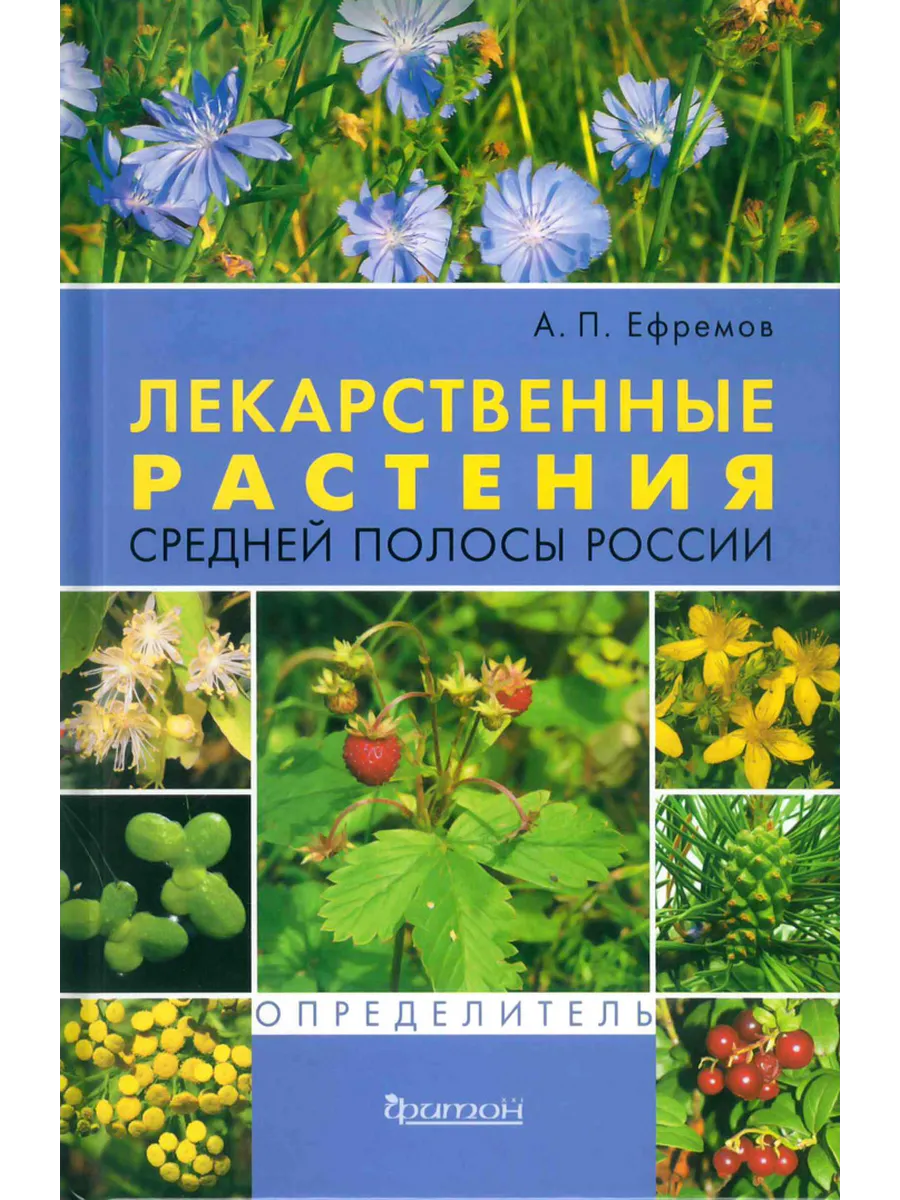 Лекарственные растения средней полосы России