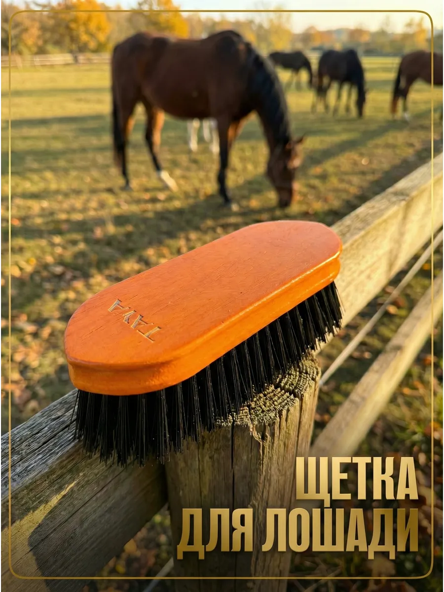 Щетка для лошади