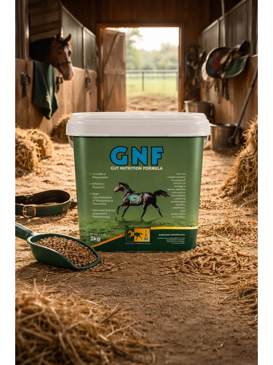 ГНФ/GNF-гранулы для здоровья кишечника лошади, 3 кг