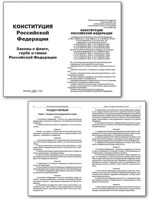Издательство ВАКО Конституция Российской Федерации, вариант, фото 2