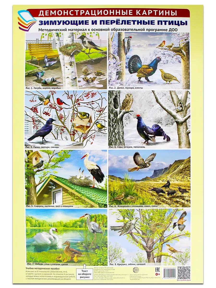 Демонстрационные картины А3 «Зимующие и перелётные птицы» Ме