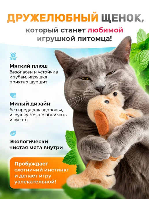 Novapet Игрушка для кошек Собачка шуршалка с мятой, черный, фото 2