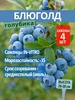 Интернет‑магазин Wildberries: широкий ассортимент товаров - скидки каждый день!