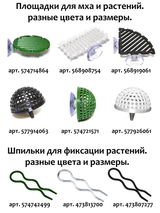 BestFish24 Анубиас кофефолия, 9-11см, 1шт, 1 шт, фото 4
