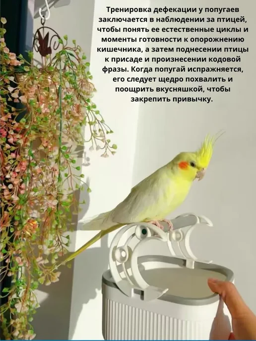Ёжик Серёжик Присада для попугаев и птиц, белый, фото 7