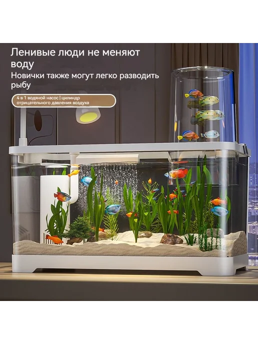 Аквариум, вариант, фото 3