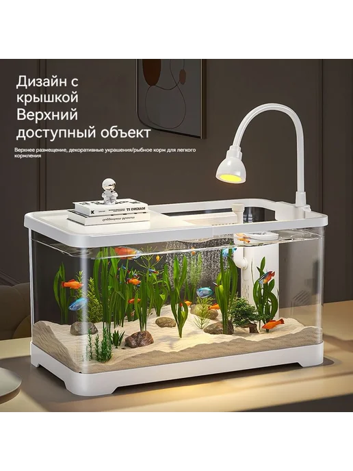 Аквариум, вариант, фото 7