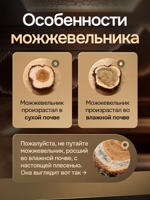 re_St Панно из можжевельника медведь, бежевый, фото 6
