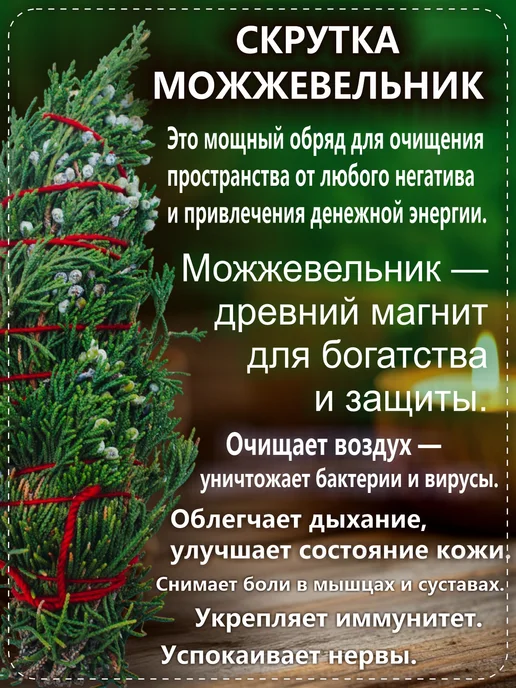 Артмикс Веники для бани наборы с травами, запарки, скрутки подарок, 10 шт, фото 2