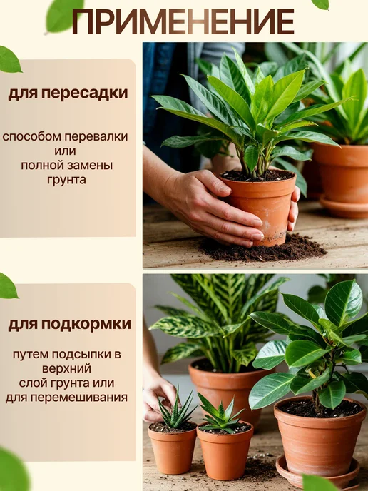 Ёж и мята Грунт для Сансевиерии 5 литров, вариант, фото 4