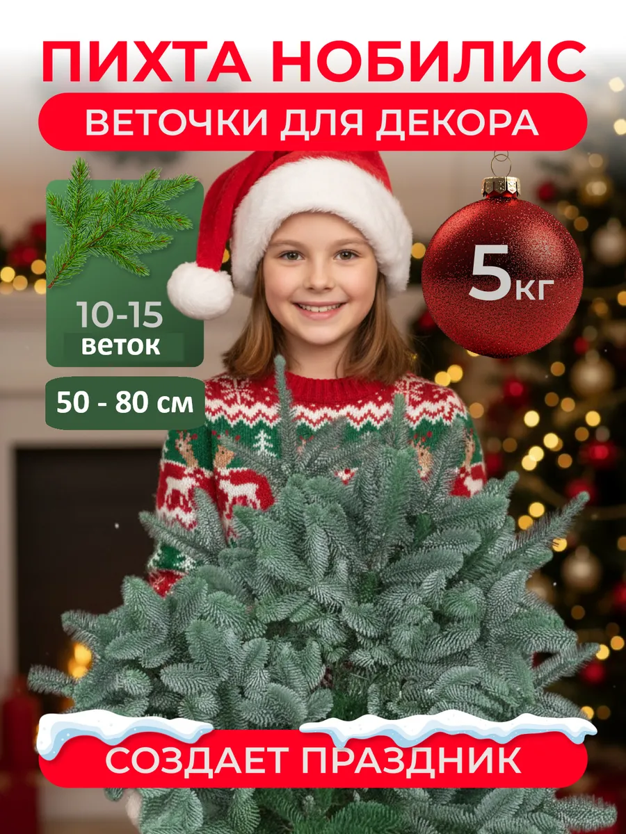 Живые еловые ветки для декора лапник Пихты Нобилис 5 кг