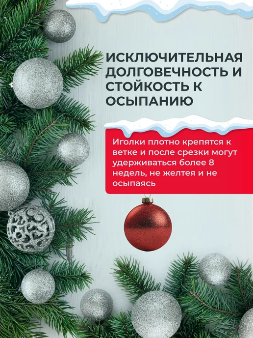 Елки Едут Живые еловые ветки для декора лапник Пихты Нобилис 5 кг, 5 кг, фото 2