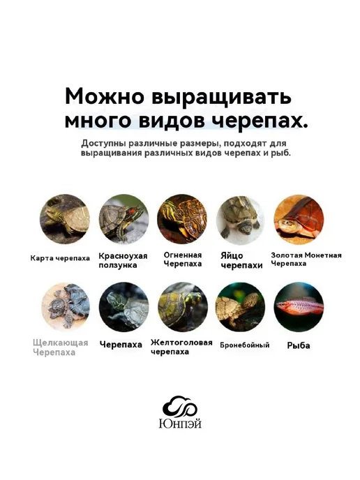 Аквариум для маленьких черепах 30х20х19 5см Белый, 20x19, фото 3