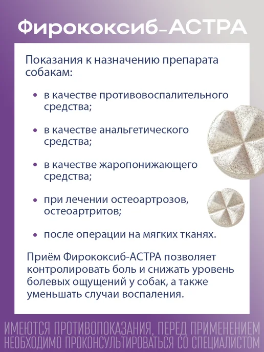 АСТРАФАРМ Фирококсиб-Астра для собак средних и крупных 227мг №10таб, вариант, фото 2