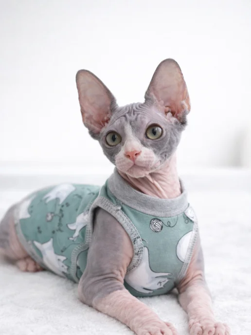 MEOWme Одежда для котят от 1 мес, хлопок, серый, фото 2