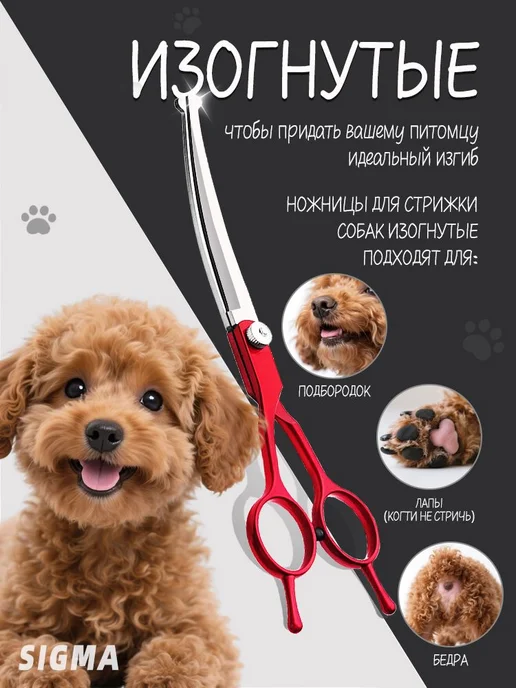 Ножницы для стрижки собак 5 в 1 6 дюймов, вариант, фото 2